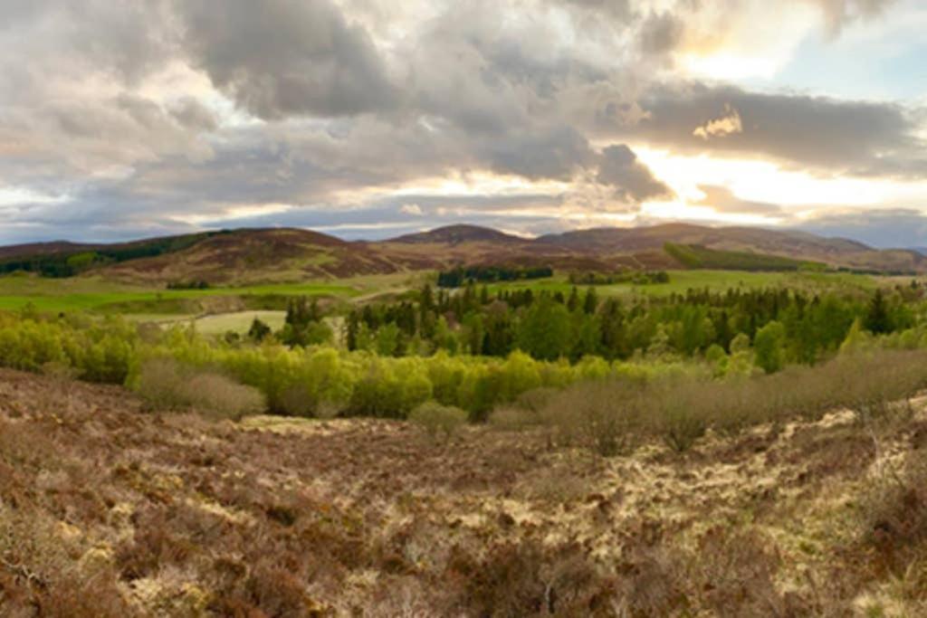 Blairbeg Cottage Blairgowrie and Rattray Zewnętrze zdjęcie